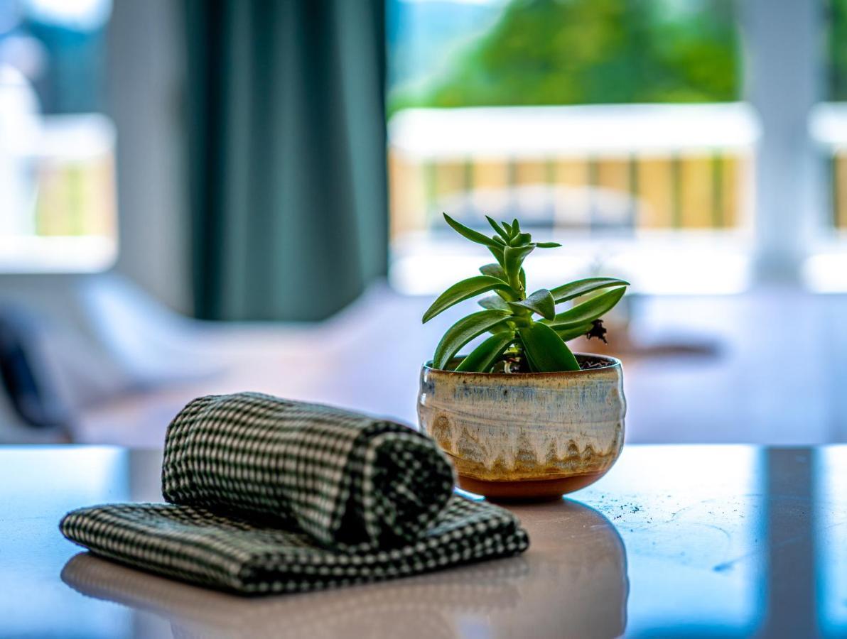 Hotel-Appartements De La Gare วาล-เดวิด ภายนอก รูปภาพ